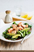 Grilled salmon on an avocado & cucumber salad