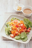Watermelon & carrot salad with young spinach leaves