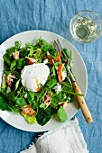 Mixed salad leaves with smoked salmon and a poached egg