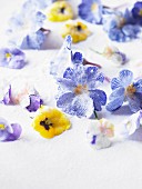 Crystallised violets as cake decorations