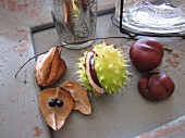 Sweet chestnuts and dried fruit as an autumnal decoration