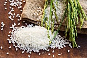 Reishaufen, Reisähren und Jutesack