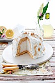 Baked Alaska with lime sorbet (ice cream dessert topped with meringue, USA)