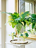 Vase with boquet made from Hosta leaves