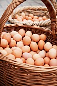 Frische Bio-Eier in Körben