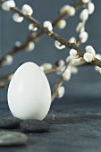 A white egg, twigs of pussy willow, and granite