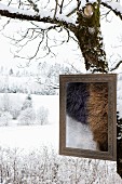 Picture frame containing pieces of fur on snowy tree trunk