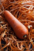 A carrot on carrot peelings