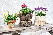 Blühendes Blumenarrangement in unterschiedlich gestalteten Blumentöpfchen auf einem Holzbret