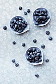 Blueberries in bowls on a patterned tablecloth (view from above)