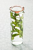 A preserving jar with water and fresh mint
