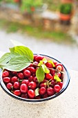 Fresh cornelian cherries in a bowl