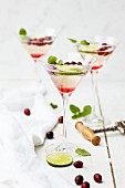 Sparkling wine with cranberries and lime