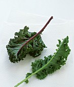 Kale leaves