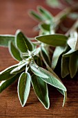 Fresh sage on a wooden table (close-up)