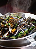 Steamed mussels with thyme (close-up)