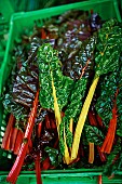 Red and yellow chard in a crate