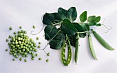 Peas, pea pods and pea leaves