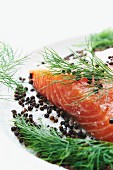 Raw Salmon and Curing Ingredients