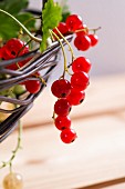 Redcurrants and whitecurrants hanging from a wire bowl