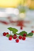 Redcurrants on a table in the garden