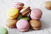 Assorted pastel-coloured macaroons