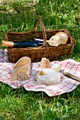 A picnic in a field with wine, bread and cheese