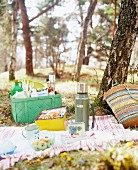 Picnic in a forest.