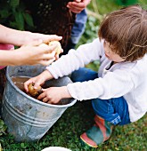 Kleines Mädchen wäscht Kartoffeln in einem Eimer im Garten