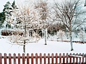 Verschneiter Garten mit Holzzaun