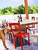 Rustikaler Holztisch und Hund auf einer Terrasse mit Bergblick