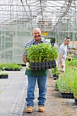 Mann mit Blumen in Kunststoff Töpfen und Behälter im Gartencenter