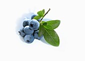 Blueberries with leaves (close-up)
