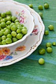 Freshly podded organic peas in old crockery and on the tabletop