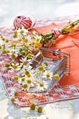 Kamillenblüten, einzeln und mit buntem Garn zu einem Sträusschen gebunden, auf orangefarbener Tischdecke im Freien
