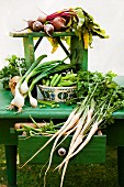 Stillleben mit verschiedenen frischen Gartengemüsen auf altem grünen Tisch, mit geöffneter Schublade, alter Keramikschüssel und Holzmesser