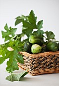 Fresh cucumbers in a basket with leaves on a white background
