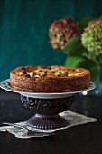 Apple cake with raisins on a cake stand