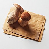 Porcini mushrooms on two paper bags