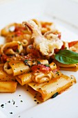 Paccheri pasta with tomato, basil and fish, Italy, Europe
