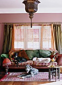Several dogs lying comfortably on sofa and rug in front of window in traditional interior