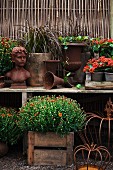 Bust, planters & flowering plants on table in garden