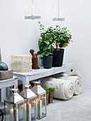 Weisser Wandtisch mit Topfpflanzen, einem Frauentorso und transparenten Aufbewahrungsschachteln