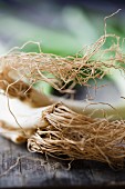 Spring onions with roots (close-up)