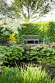 Verwitterte Gartenbank an sonniger Hecke in üppigem, idyllischem Garten mit Gartenteich