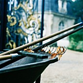 Gardening Tools in a Wheelbarrow.