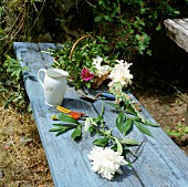 Flowers on a bench in a garden.