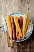 Assorted varieties of carrot on an old plate, with a knife