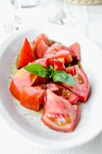 Tomato salad with basil