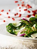 Spinach Salad Cranberry Vinaigrette